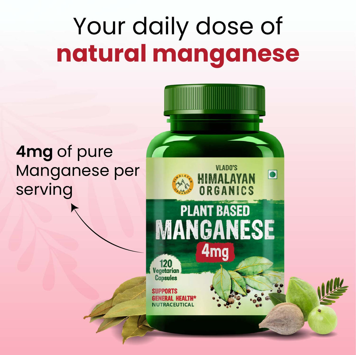 Himalayan Organics, Plant Based Manganese, 4mg 