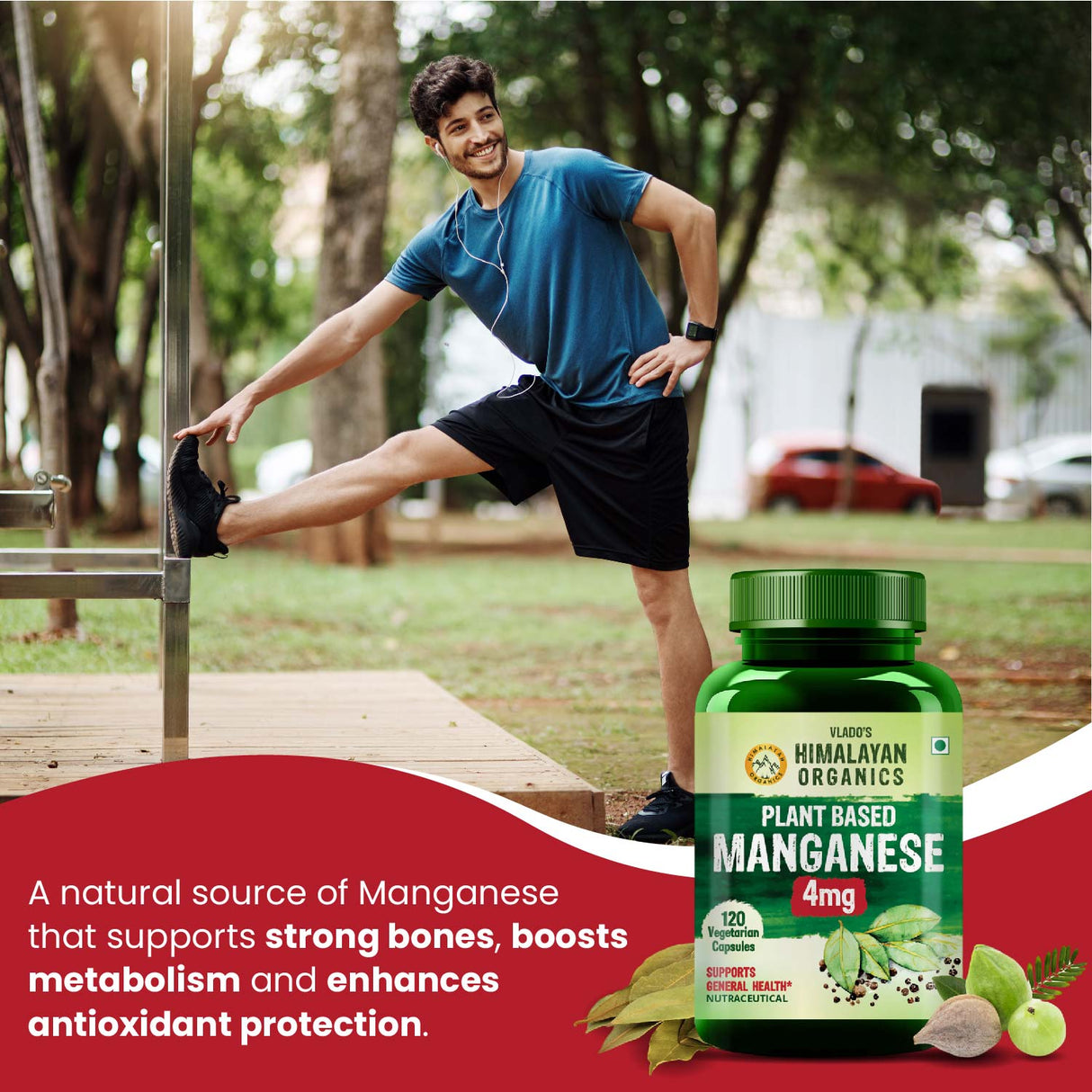 Himalayan Organics, Plant Based Manganese, 4mg 