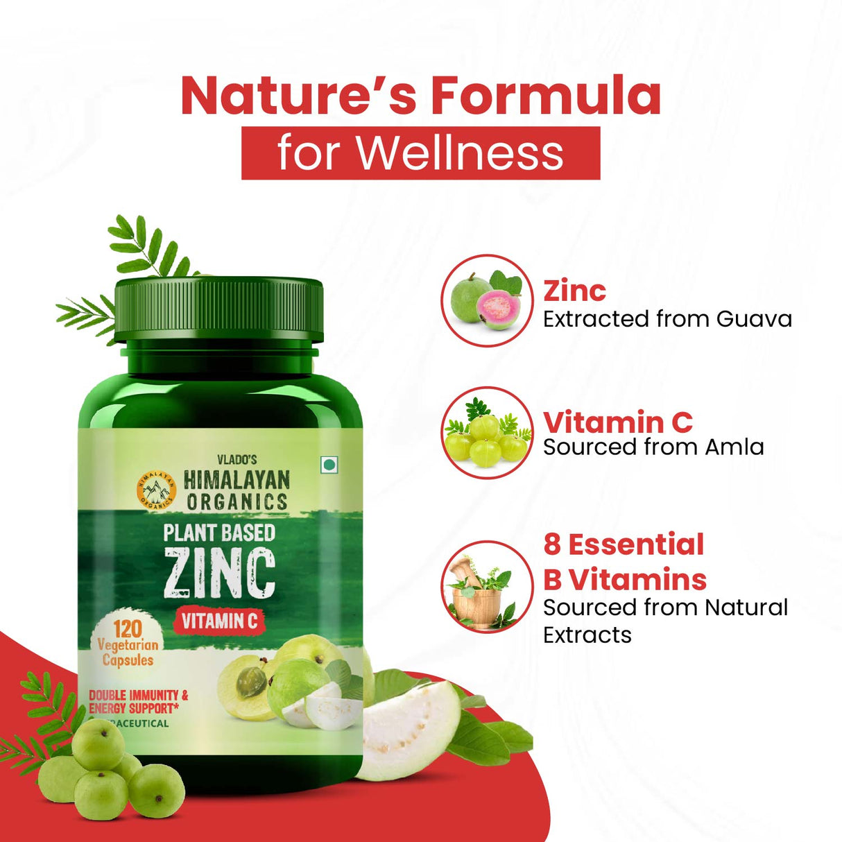 Himalayan Organics, Plant Based Zinc with Vitamin C 