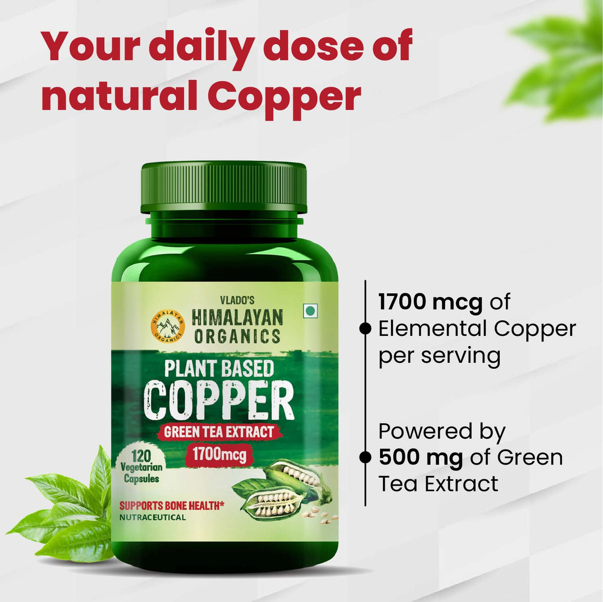 Himalayan Organics, Plant Based Copper with Green Tea Extract, 1700mcg 