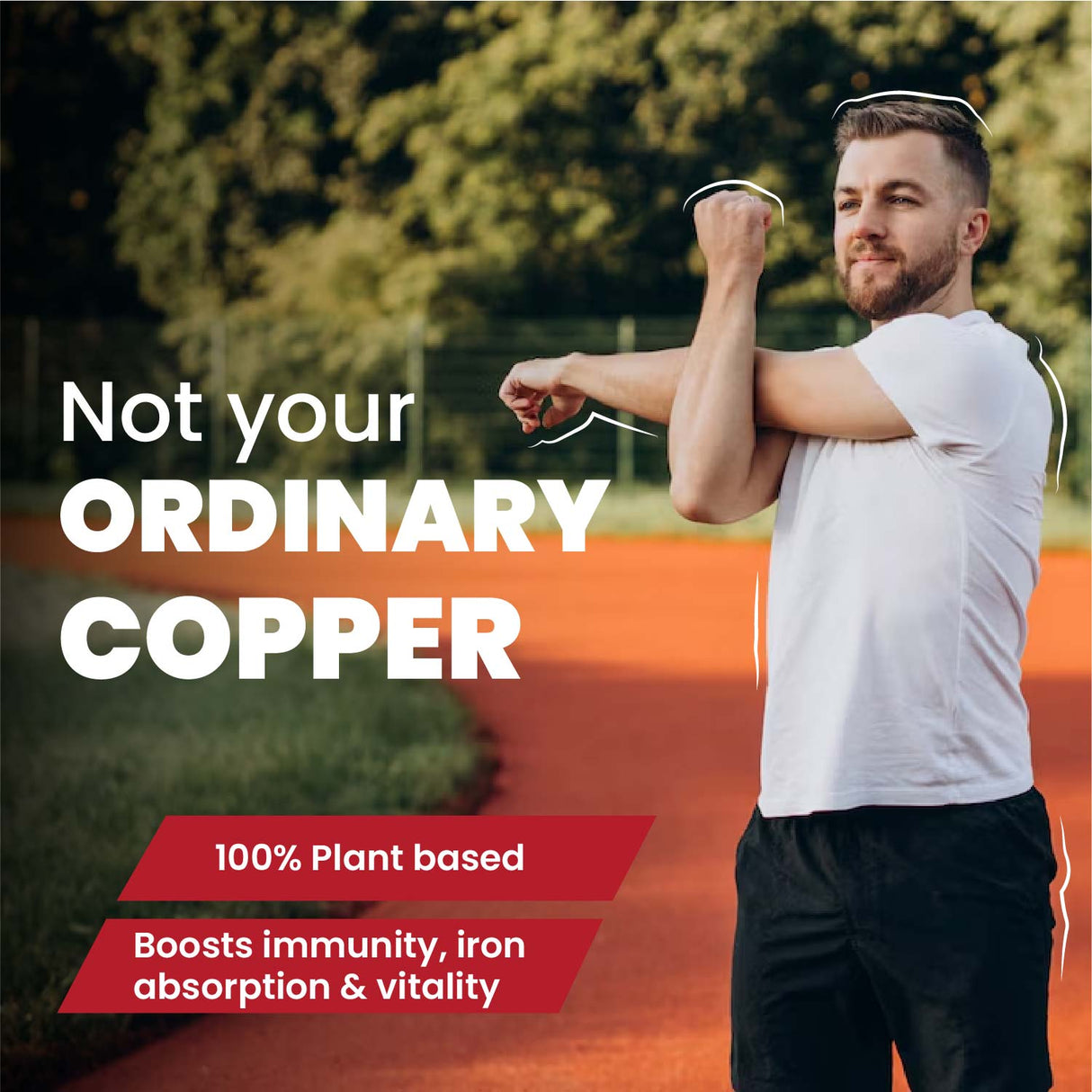 Himalayan Organics, Plant Based Copper with Green Tea Extract, 1700mcg 