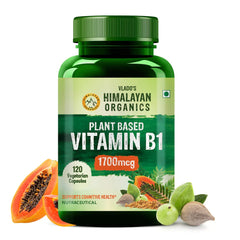 Vlado's Himalayan Organics, Vitamin B1 - 120 Capsules