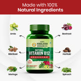 Himalayan Organics, Vitamin B12 with B1 B2 B3 B5 B6 B7 B9 Moringa 