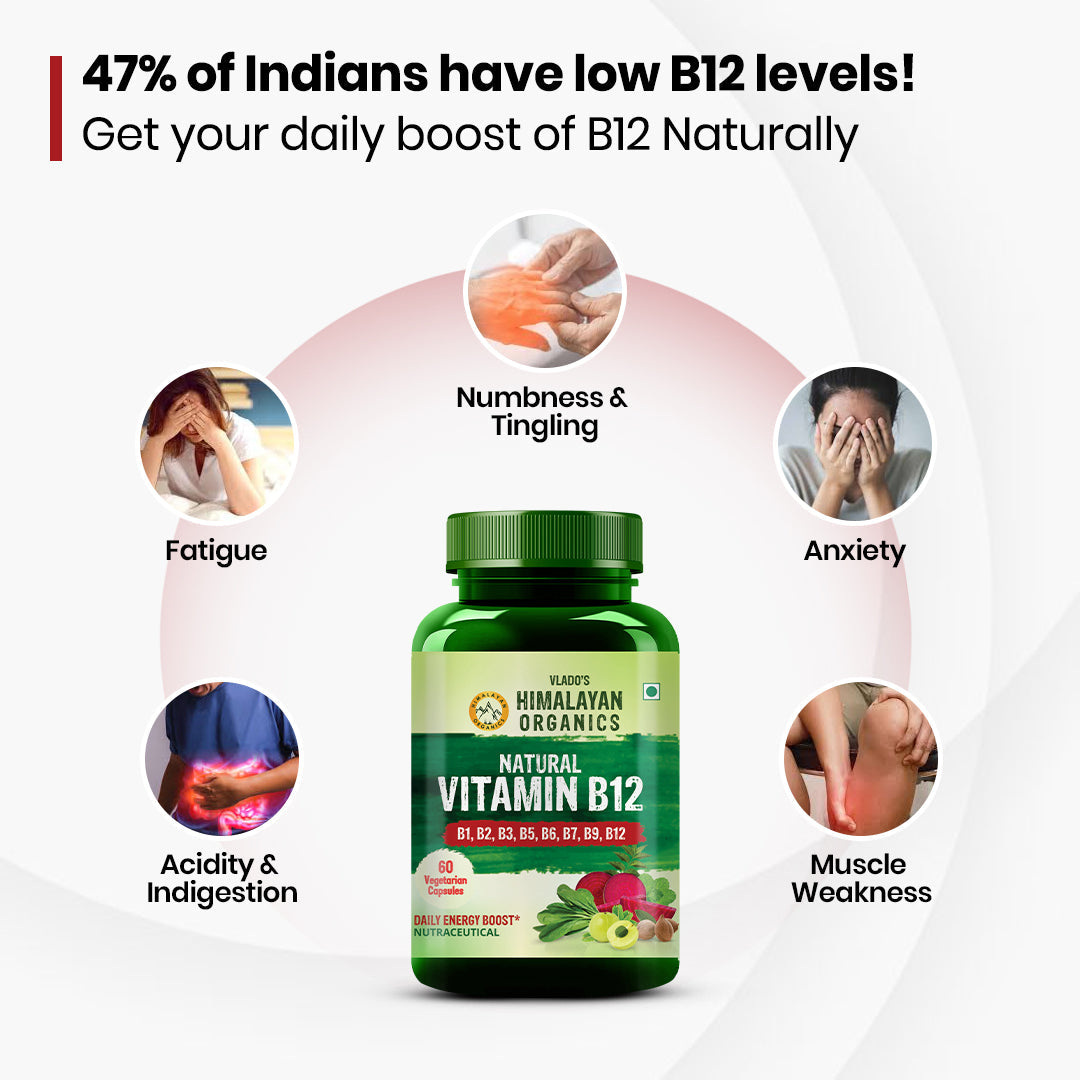 Himalayan Organics, Vitamin B12 with B1 B2 B3 B5 B6 B7 B9 Moringa 