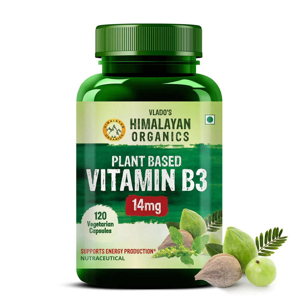 Vlado's Himalayan Organics, Vitamin B3 - 120 Capsules