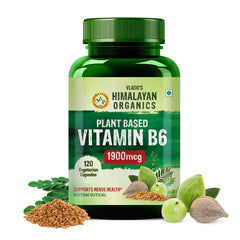 Vlado's Himalayan Organics, Vitamin B6 - 120 Capsules