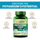 Himalayan Organics, Potassium Citrate, 800mg 