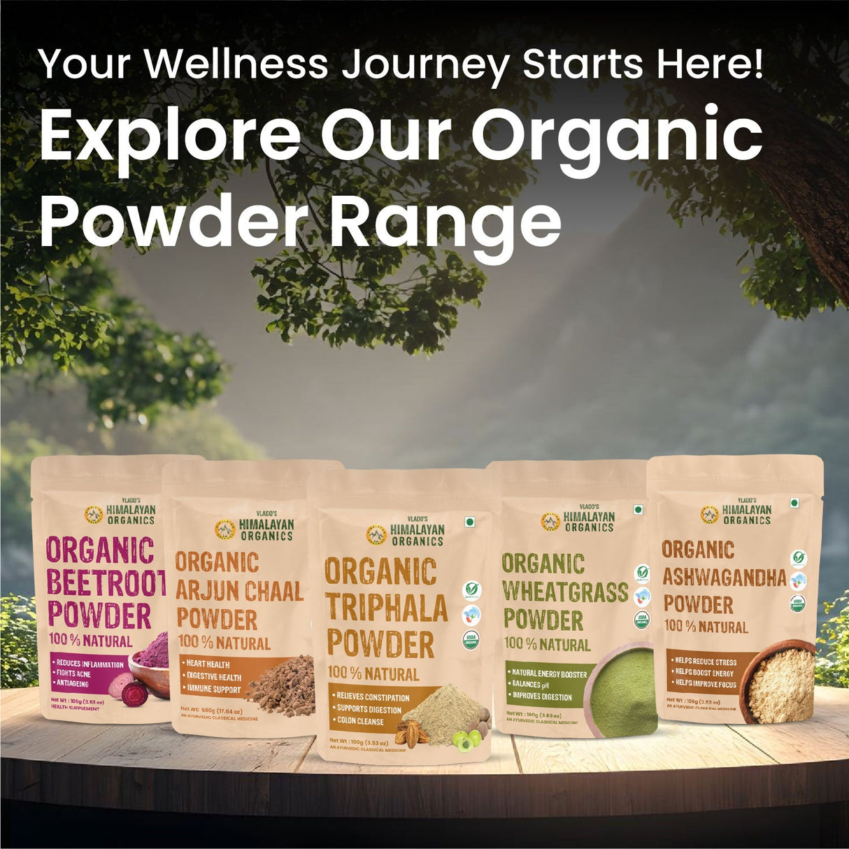 vlado’s himalayan organics shatavari powder 100g 