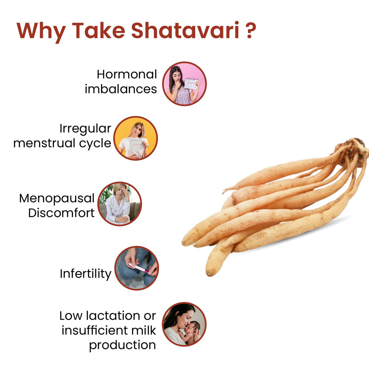 vlado’s himalayan organics shatavari powder 100g 