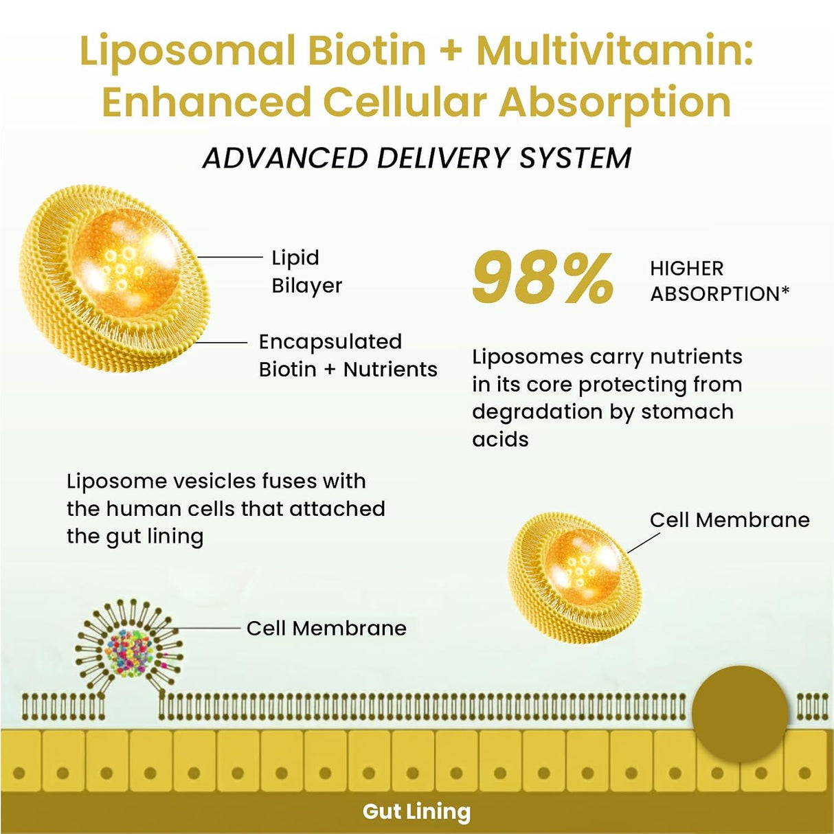 Vlado's Himalayan Organics Liposomal Biotin + Multivitamin | Amino Acids+50 Ingredients | Hair, Skin & Nails Support | 120 Veg Tablets"