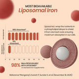 Vlado's Himalayan Organics Liposomal Iron + Vitamin C Folic Acid, B12 & Zinc | 100 Veg Tablets