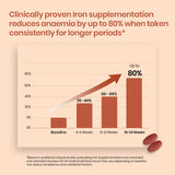 Vlado's Himalayan Organics Liposomal Iron + Vitamin C Folic Acid, B12 & Zinc | 100 Veg Tablets