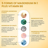 Vlado's Himalayan Organics Liposomal 5X Magnesium Complex 2100mg | Sleep & Muscle Function | 120 Tablets