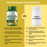Vlado's Himalayan Organics Liposomal Ashwagandha 1000mg | Energy & Endurance | 60 Veg Capsules