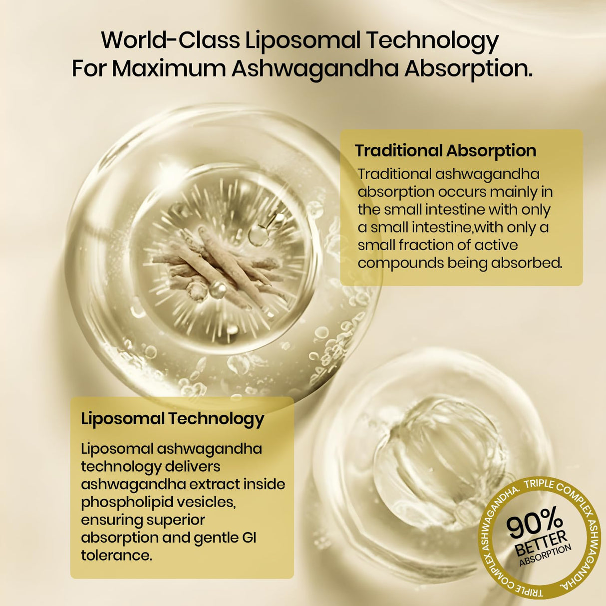 Vlado's Himalayan Organics Liposomal Ashwagandha 1000mg | Energy & Endurance | 60 Veg Capsules