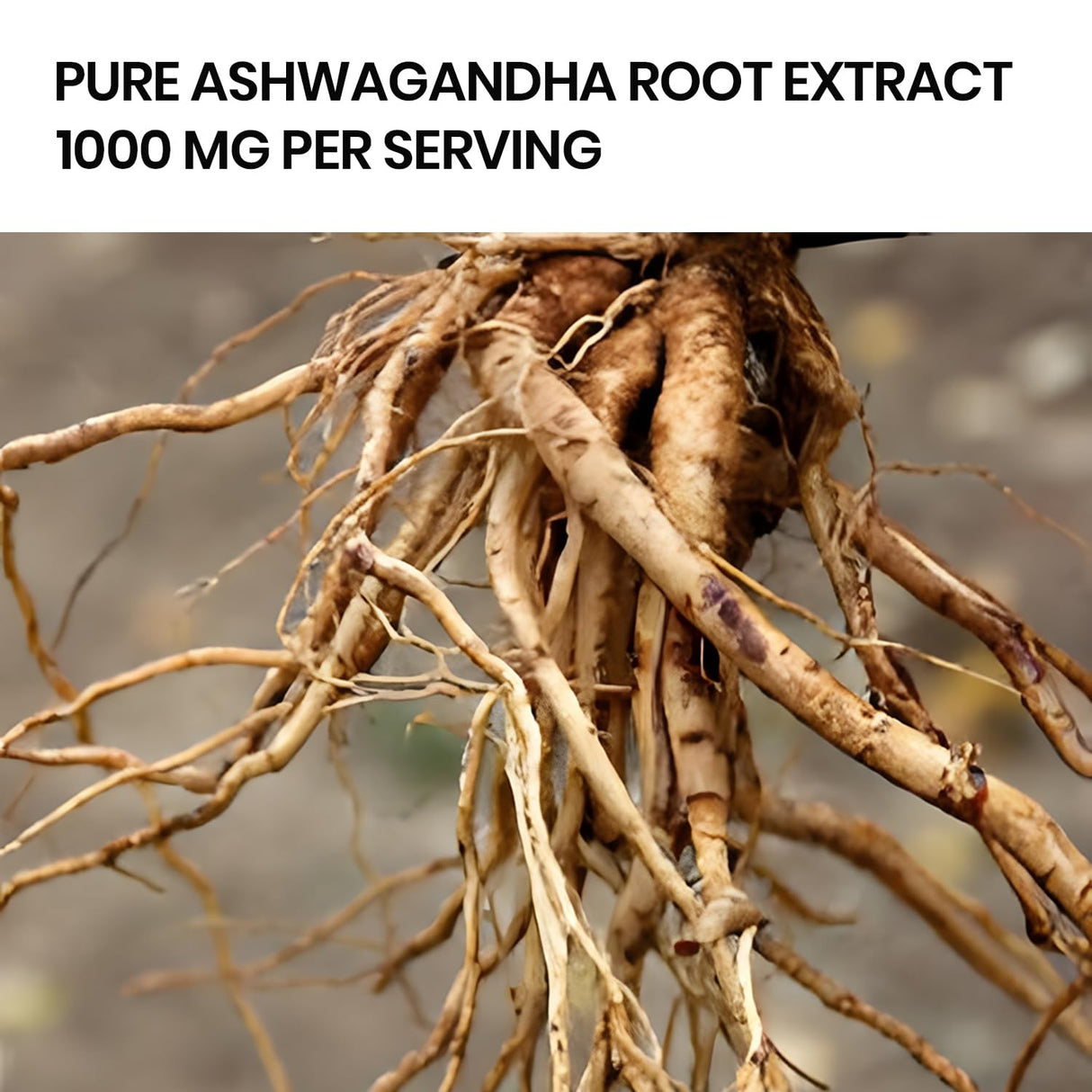 Vlado's Himalayan Organics Liposomal Ashwagandha 1000mg | Energy & Endurance | 60 Veg Capsules