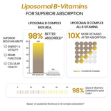 Vlado's Himalayan Organics Liposomal B-Complex | 100% RDA B1 | B12 for Energy | 60 Veg Capsules