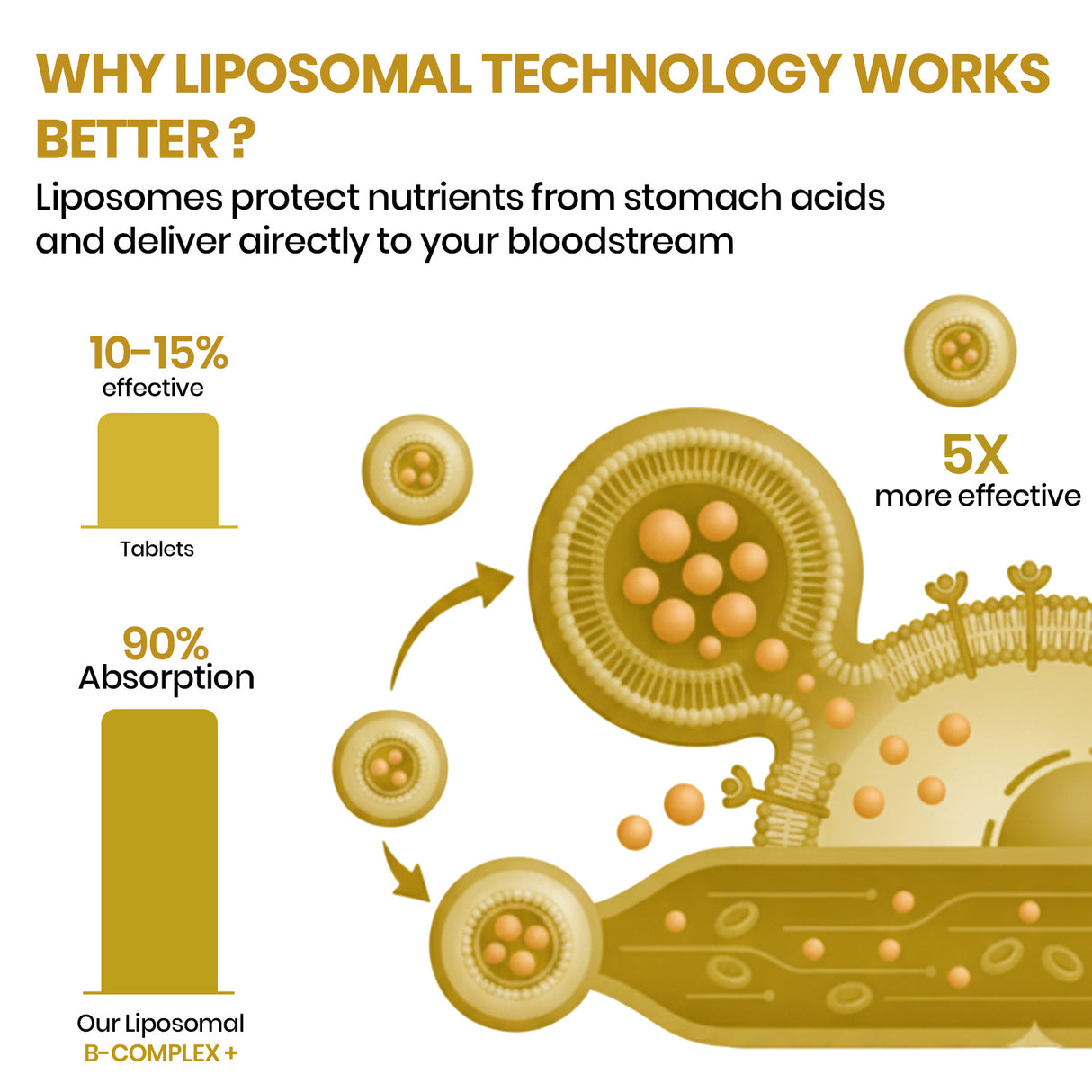 Vlado's Himalayan Organics Liposomal B-Complex | 100% RDA B1 | B12 for Energy | 60 Veg Capsules