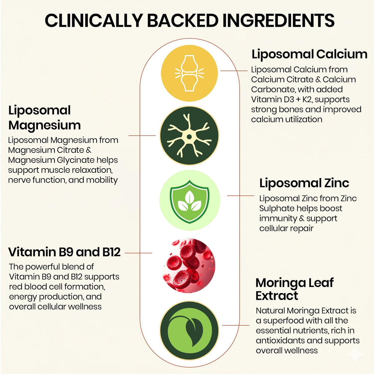 Vlado's Himalayan Organics Liposomal Calcium Magnesium Zinc | Bone & Immunity | 60 Veg Tablets