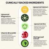 Vlado's Himalayan Organics Liposomal Calcium Magnesium Zinc | Bone & Immunity | 60 Veg Tablets