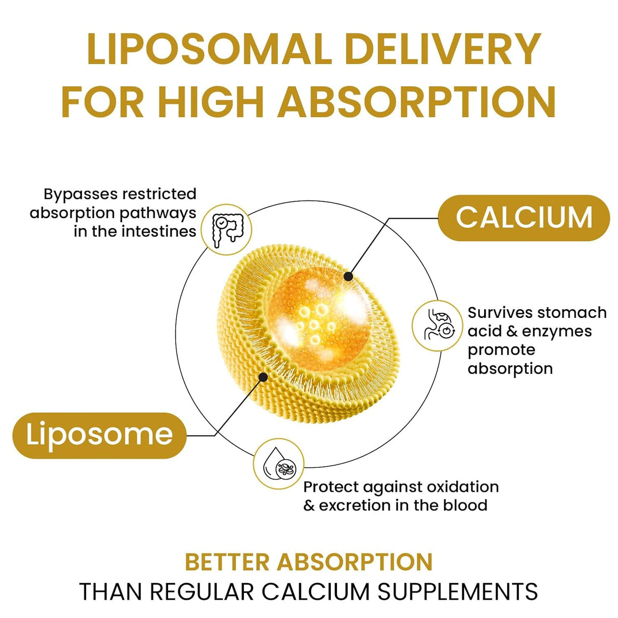 Vlado's Himalayan Organics Liposomal Calcium D3+K2 2100mg | Vitamin D3, K2 & B12 | 60 Veg Tablets