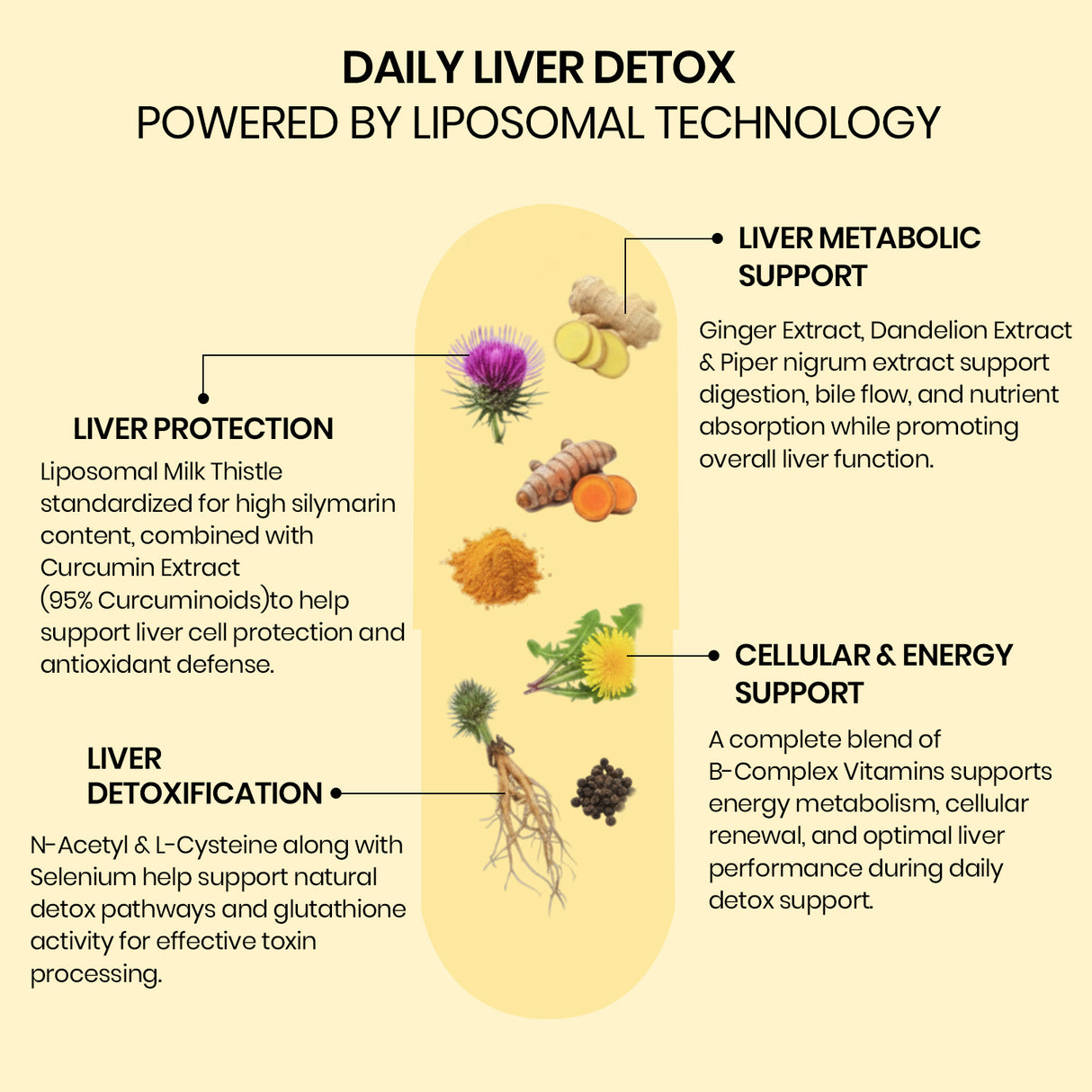 Vlado's Himalayan Organics Liposomal Liver Detox 950mg | Milk Thistle & Curcumin | 60 Veg Capsules