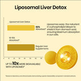 Vlado's Himalayan Organics Liposomal Liver Detox 950mg | Milk Thistle & Curcumin | 60 Veg Capsules