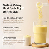 Wellbeing Nutrition Whey Protein Isolate & Concentrate | 24g Protein, Clinically Proven Velositol 2x Muscle Protein Synthesis, 4B CFU Probiotics | 1 Kg