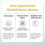 Vlado's Himalayan Organics Liposomal Glutathione 650mg | Skin & Liver Detox | 30 Caps