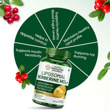 vlado’s himalayan organics liposomal berberine 1500mg 