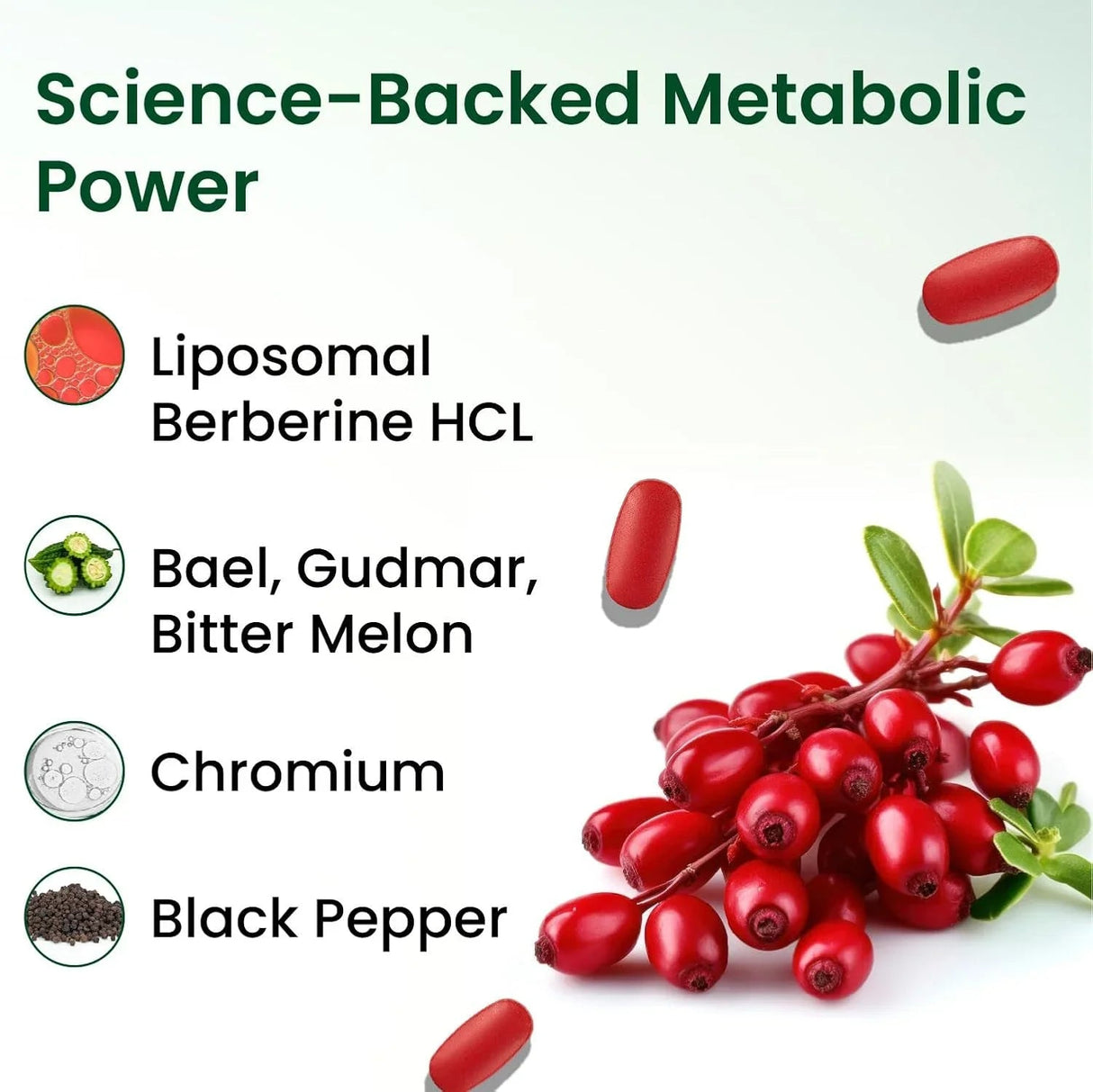 vlado’s himalayan organics liposomal berberine 1500mg 