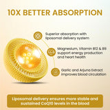 vlado’s himalayan organics liposomal coq10 300mg 