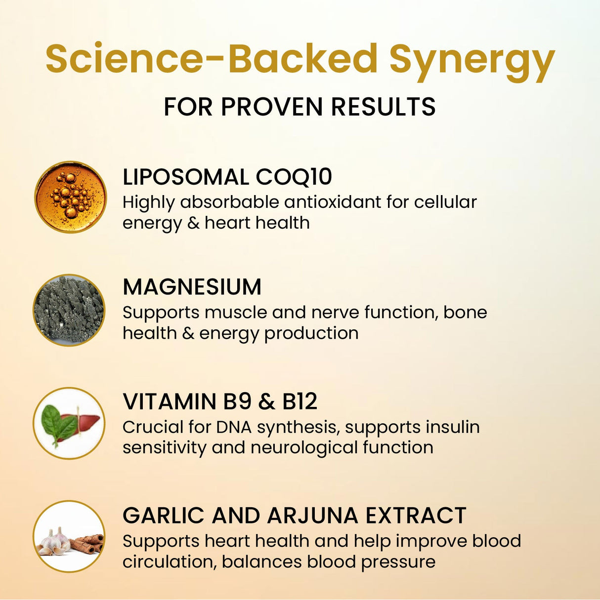 vlado’s himalayan organics liposomal coq10 300mg 