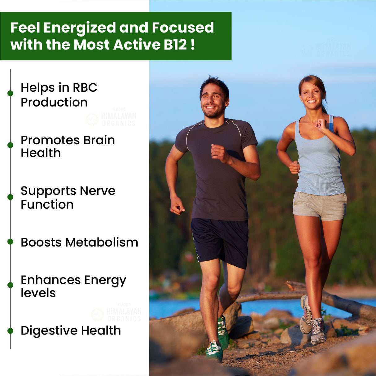 Himalayan Organics, Vitamin B12, 500mcg 