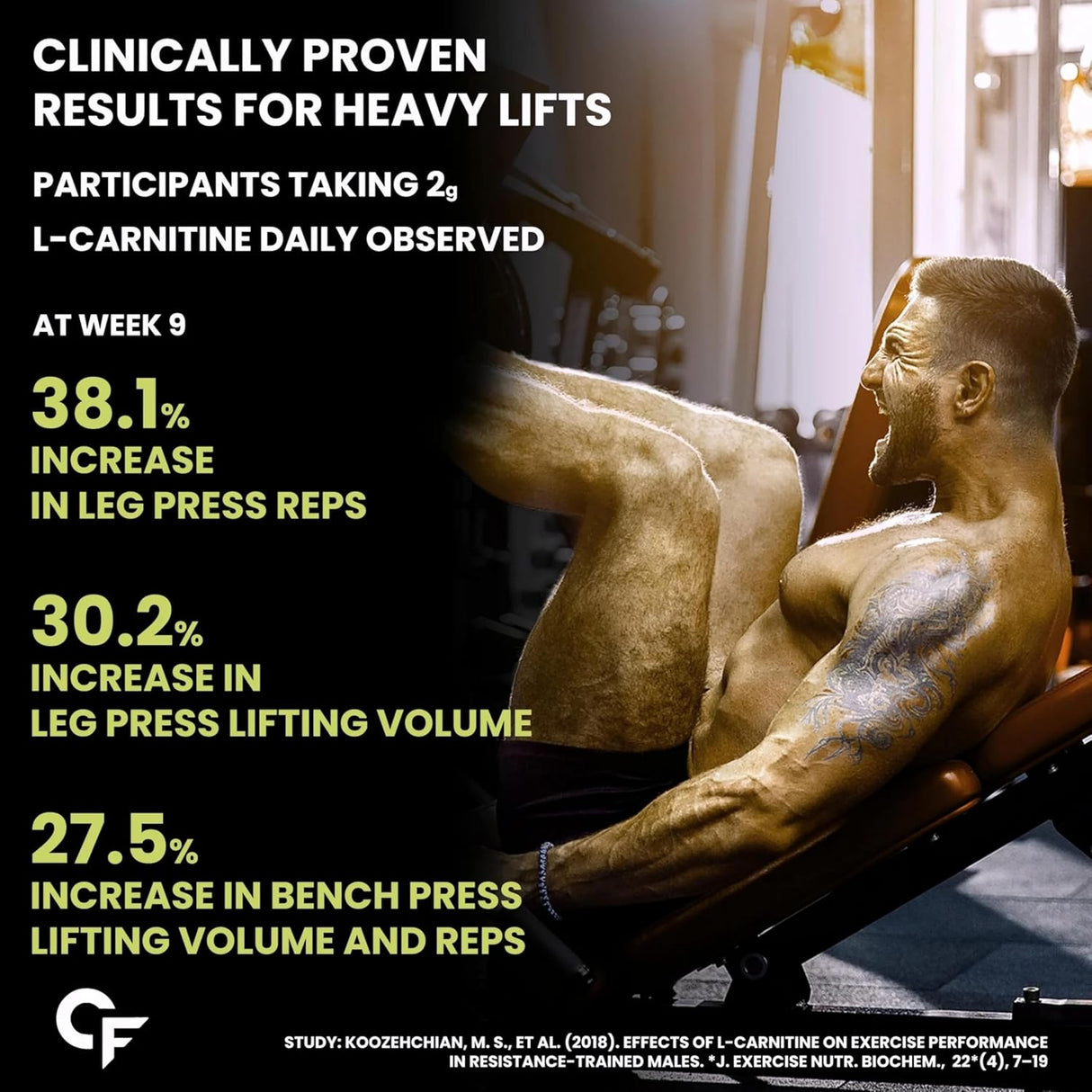 Carbamide Forte L-Carnitine 3300mg Liquid - 450ml