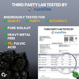 Carbamide Forte Shilajit Gold Resin for Men