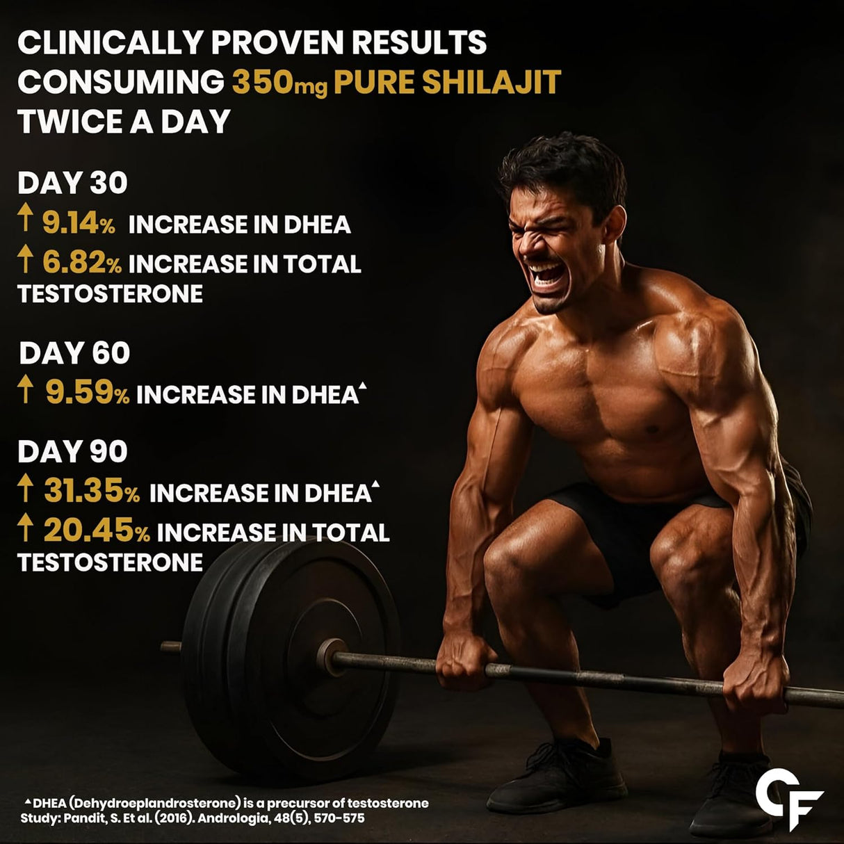 Carbamide Forte Shilajit Gold Resin for Men