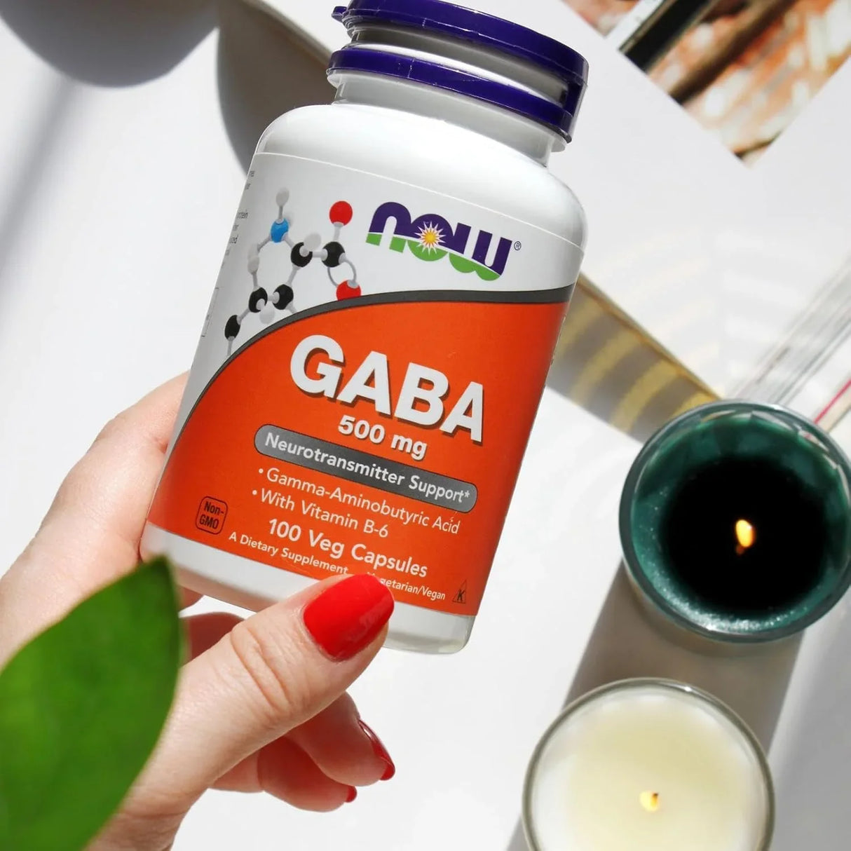 Now Foods GABA 500mg with Vitamin B-6