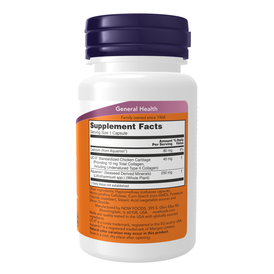 Now Foods UC-II Type II Collagen Supplement | 60 Capsules