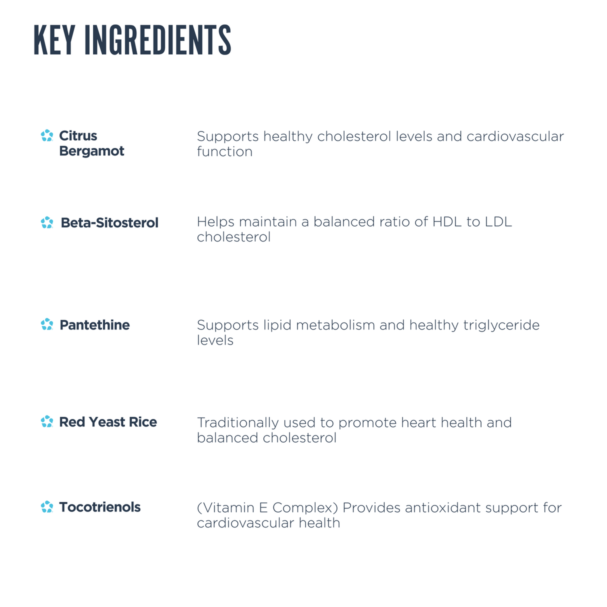 Revive MD Lipid Support Formula | 210 Tablets | Daily Wellness Supplement