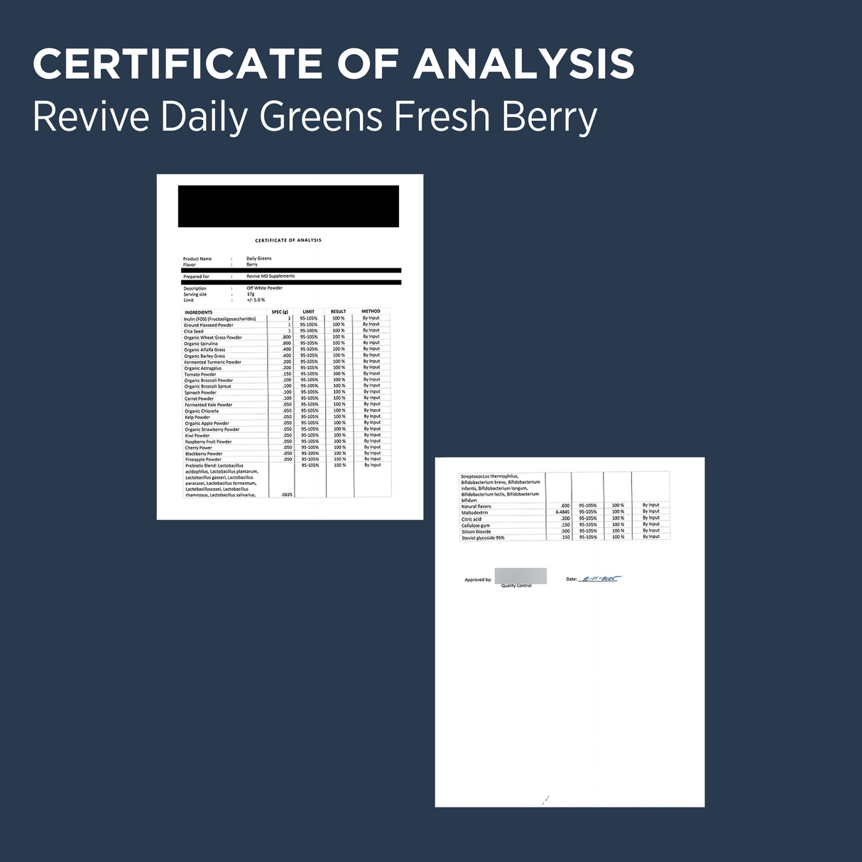 Revive MD Daily Greens Superfood Powder 260g