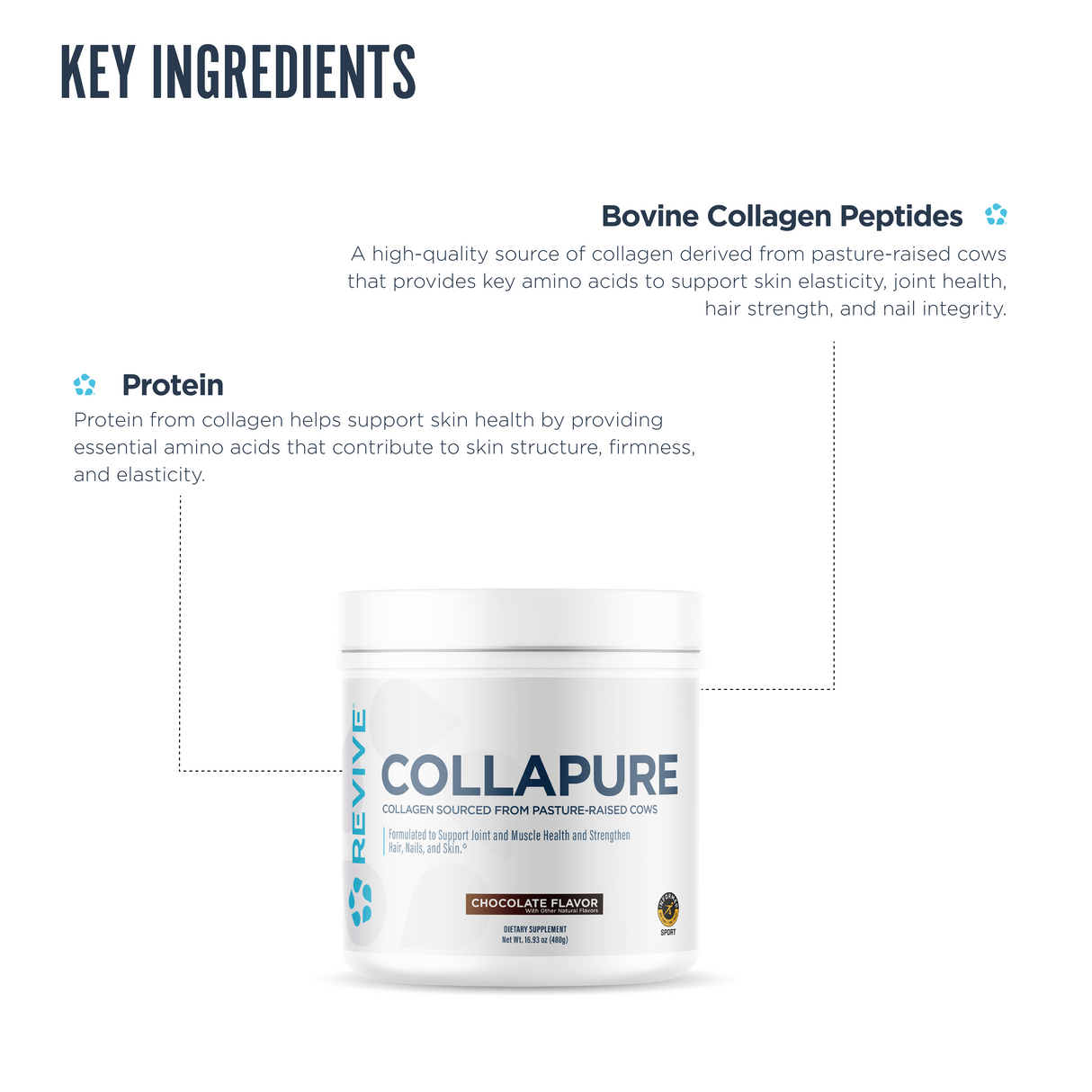Revive MD CollaPURE Collagen Peptides Powder | Type I & III Collagen | 30 Servings