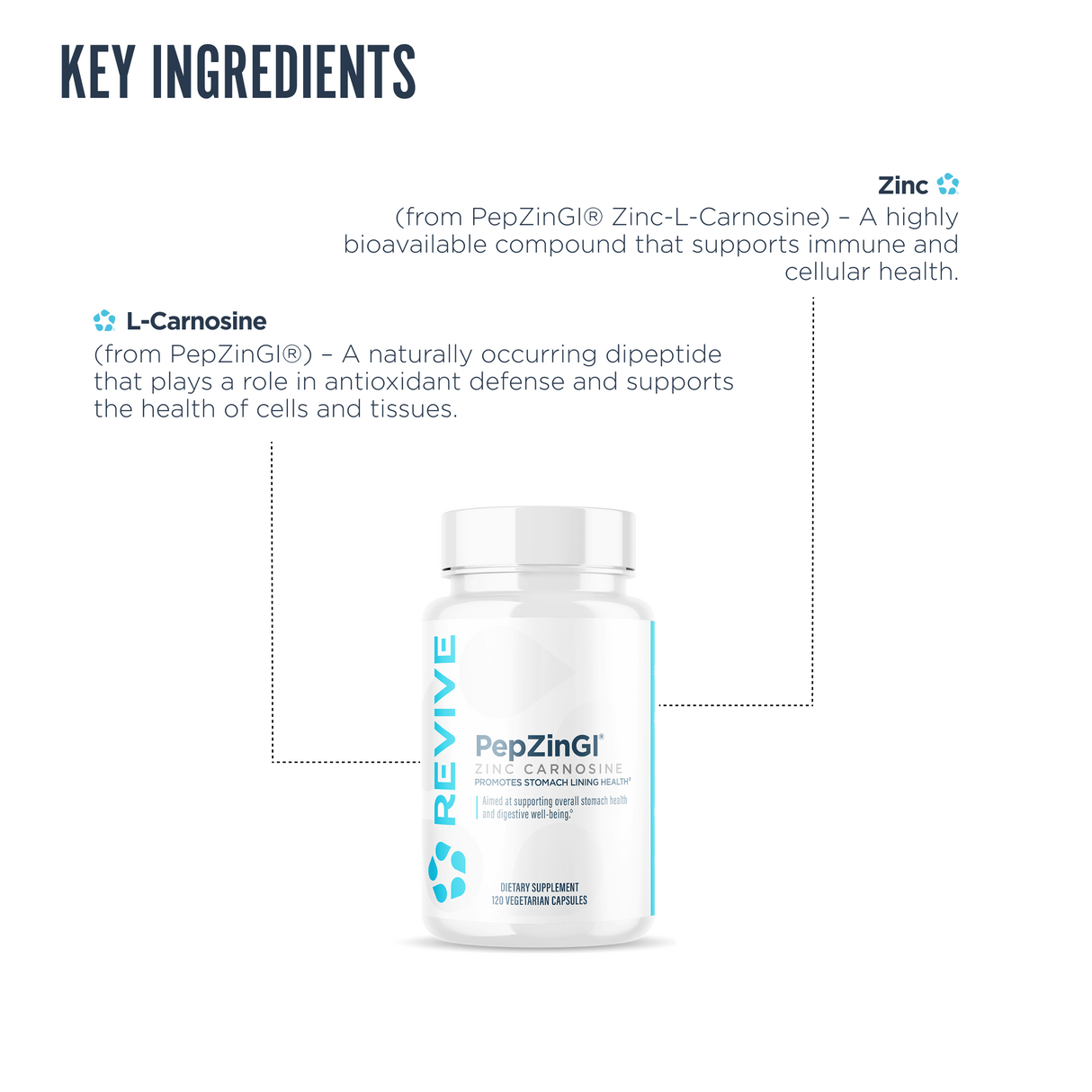 Revive MD PepZincGI Carnosine Supplement | Zinc & L-Carnosine | 120 Capsules | 60 Servings