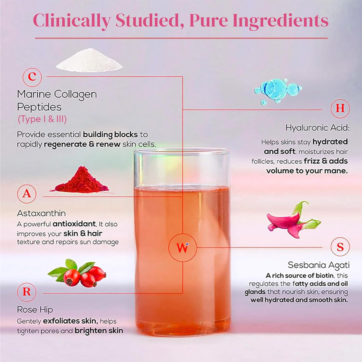 wellbeing nutrition beauty korean marine collagen 