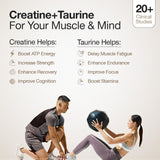 wellbeing nutrition 100% pure micronised creatine powder monohydrate and hcl 