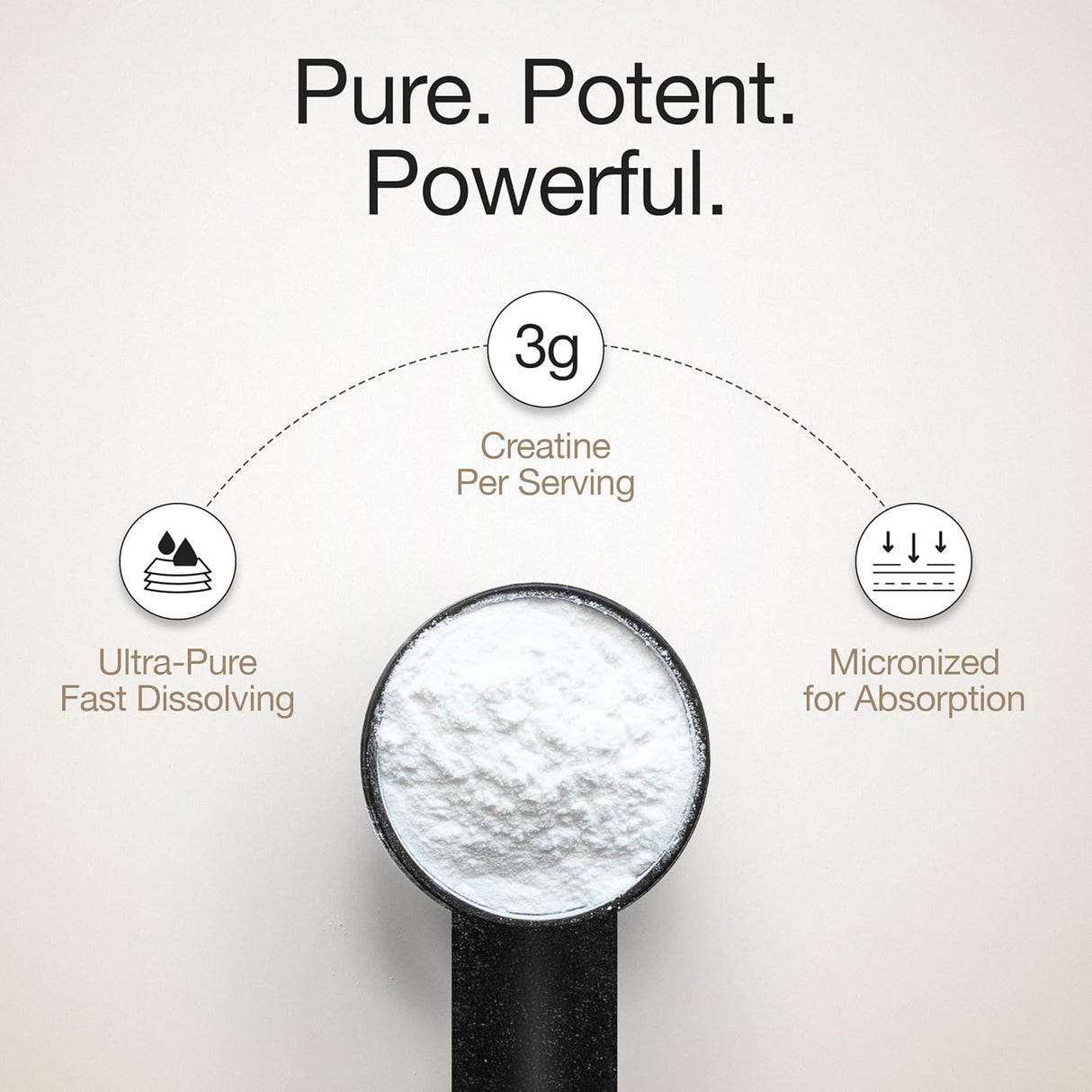 wellbeing nutrition creatine monohydrate pure micronised powder 
