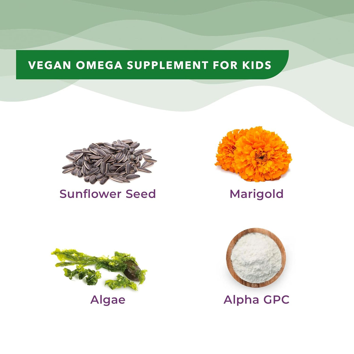 wellbeing nutrition marvel melts vegan omega 3 epa and dha for kids 