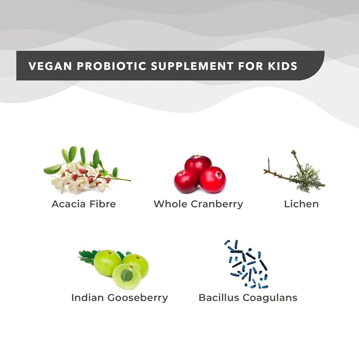wellbeing nutrition marvel melts probiotics and prebiotics for kids 
