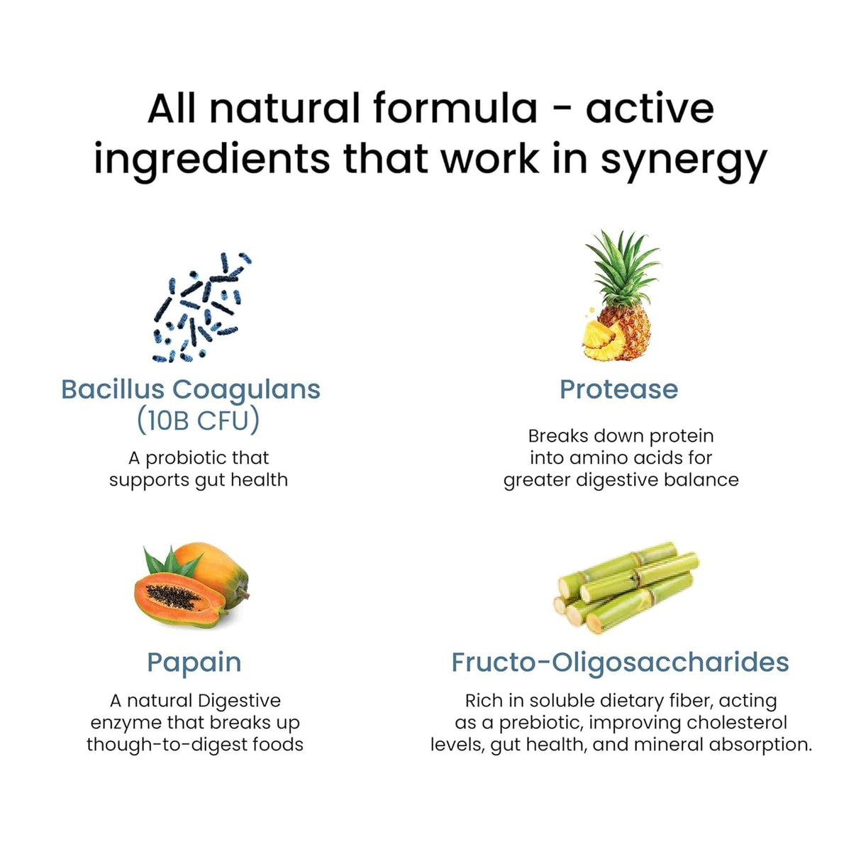 wellbeing nutrition melts healthy gut 