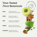 wellbeing nutrition melts acidity relief 